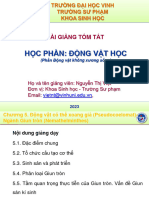 Động vật có thể xoang giả - ngành giun tròn