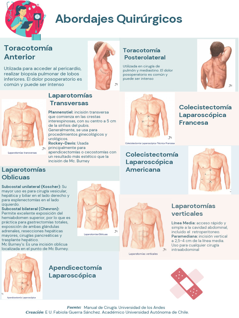 Tipos de Laparotomías y Sus Usos | PDF | Especialidades Quirúrgicas ...