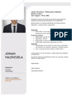 CV Johan Valenzuela