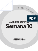 GUÍAS 10