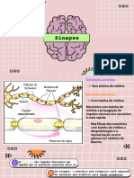 Impulso Nervoso - Sinapse