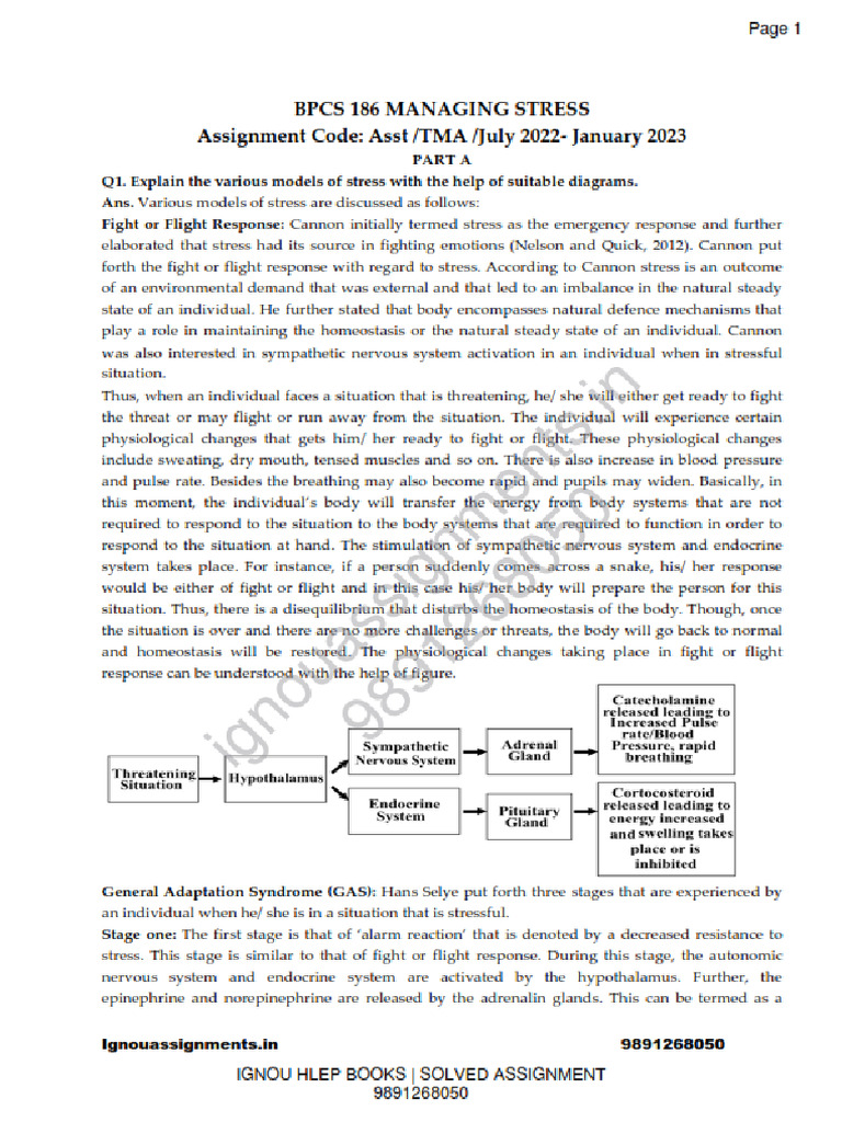Stress Management Assignment Guide | PDF