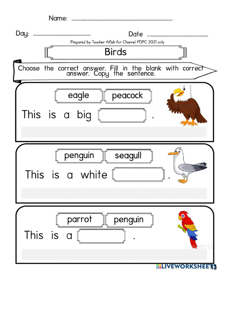 Bird | PDF