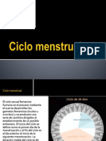 Ciclo Menstrual