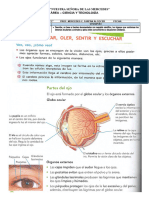 FICHA - CIENCIA Y TECNOLOGÍA - Los Organos de Los Sentidos 1 13-04-2022