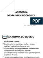 ANATOMIA E TERMINOLOGIA ORL