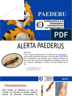 Ociequipos Presentacion Paederus