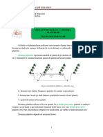 Fișa de Documentare - Distanțe de Semănat - Desimea Plantelor