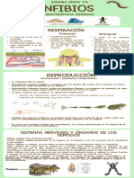  INFOGRAFÍA 2