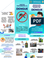 Triptico Informativo Dengue