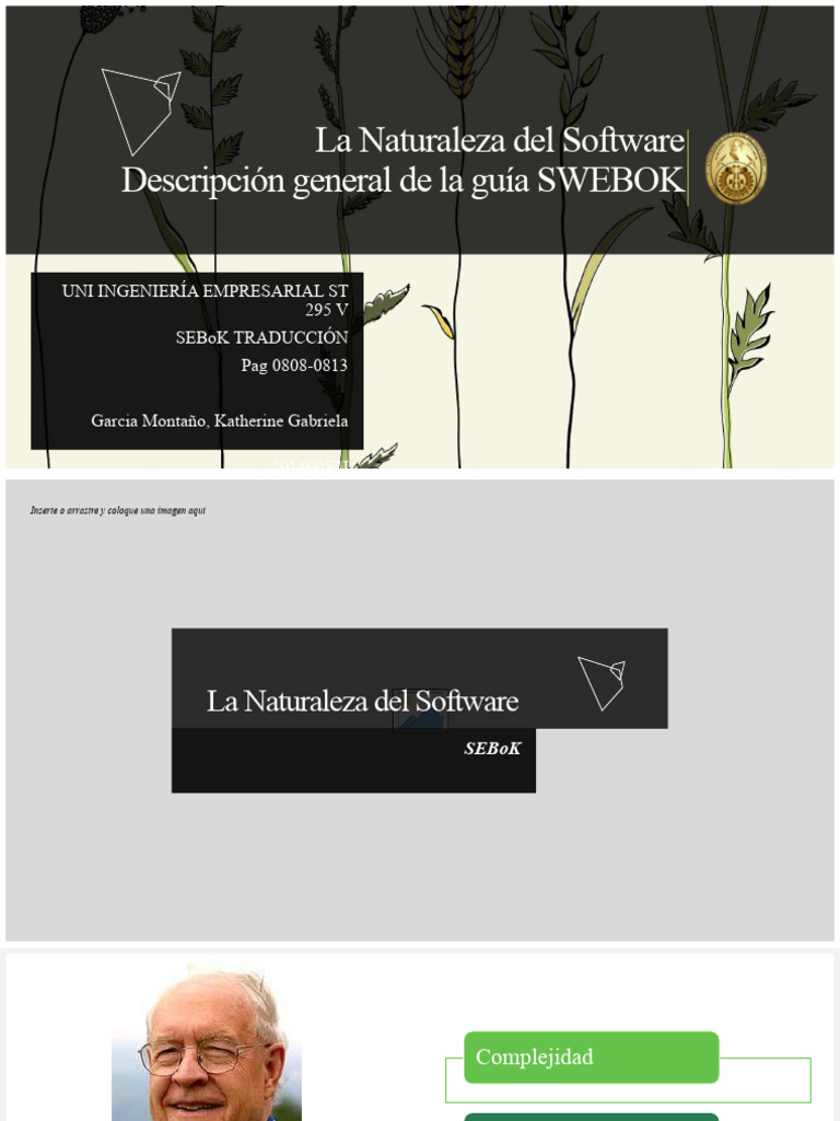 Propiedades del Software en SEBoK | PDF | Software | Ingeniería de software