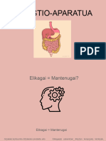 ERREPASOA (Digestio - Eta Arnas-Aparatuak)