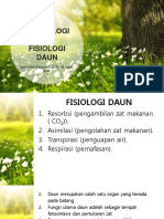 Daun (Folium)