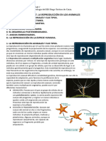 Unidad 7. La Reproducciã - N en Los Animales