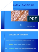 circulatiasangelui1