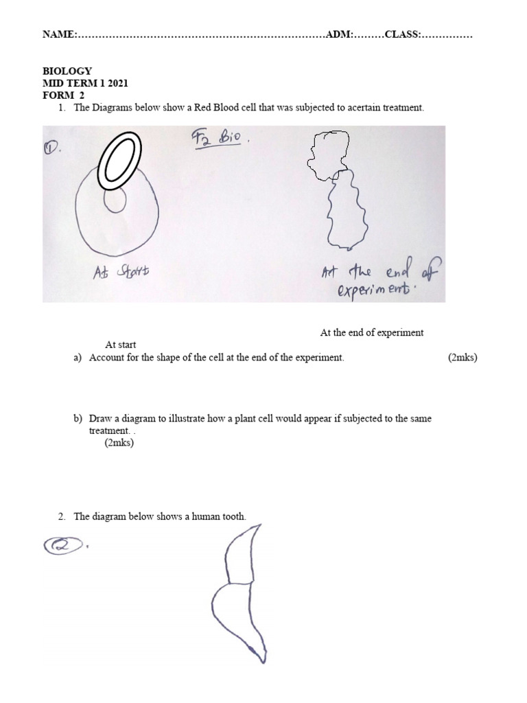 Biology Form 2 Mid Term Exam 2021 | PDF | Blood | Plants