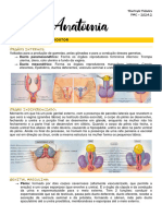 Anatomia I Aula 3 Sistema Reprodutor