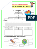 Ficha-Mart-Cyt-Cuáles Son Las Funciones de La Célula