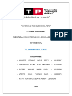 Informe Final Jabón Natural Aroma Floral g1 (1)