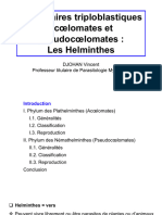Métazoaires triploblastiques acoelomates & pseudocoelomates