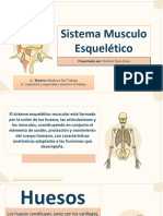 Comp MUSCULO ESQUELETICO