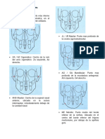 Frrontal