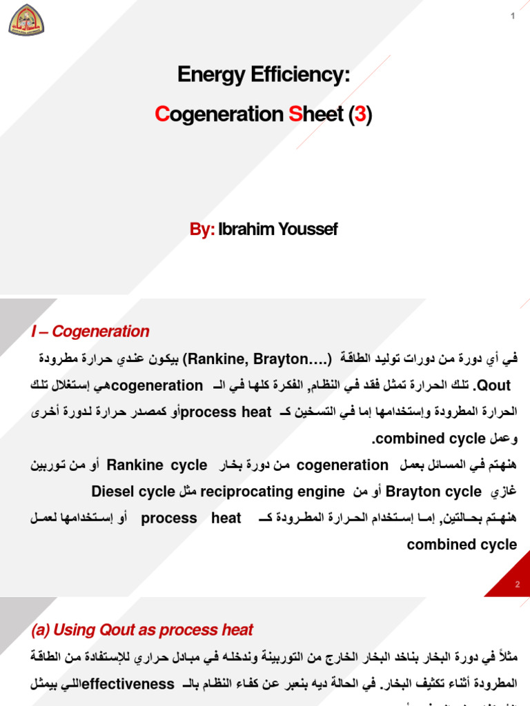 Cogeneration Sheet | PDF
