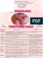 Presentación1 (2)