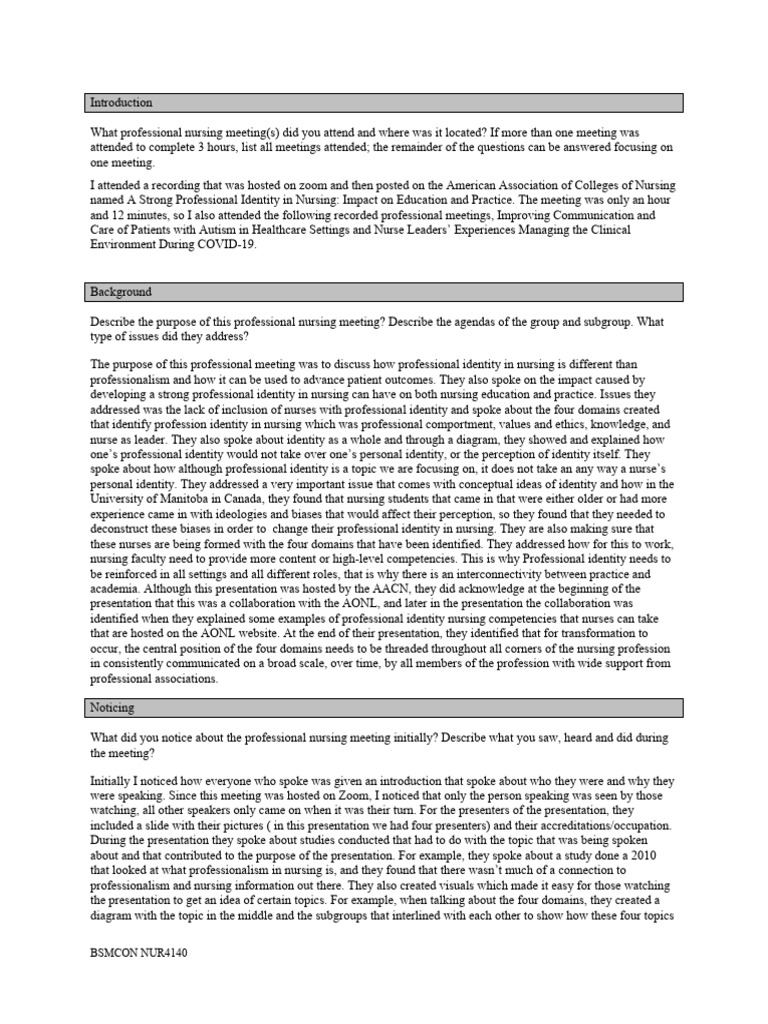 Professional Identity in Nursing Meeting Insights | PDF | Nursing ...