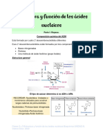 2 y 3-Acidos Nucleicos-Valeria Graci