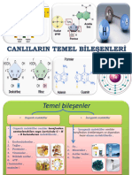 İnorganik Bileşikler