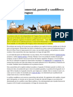392605586-Uruguay-Pastoril