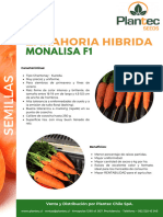 Zanahoria-Monalisa