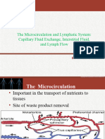 The Microcirculation and Lymphatic System