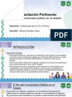 Rol Funcionario Publico estadoPPT