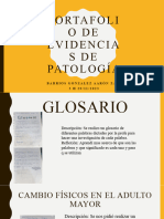 Portafolio de Evidencias de Patología