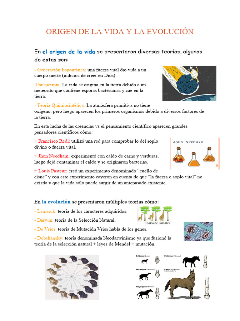 Teorías sobre el Origen y Evolución de la Vida | PDF