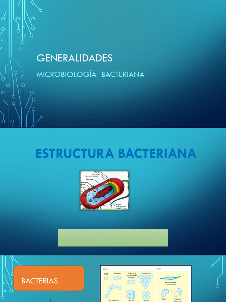 Estructura y Clasificación de Bacterias | PDF | Las bacterias ...