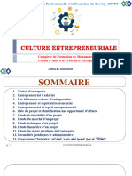 3 Cour Culture D'entreprenariat TCE 201