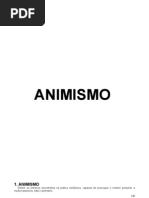 25 - ANIMISMO