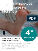 Página 1 Curso Manejo Integral de La Ulcera Pie Diabetico - Seprotec Ltda