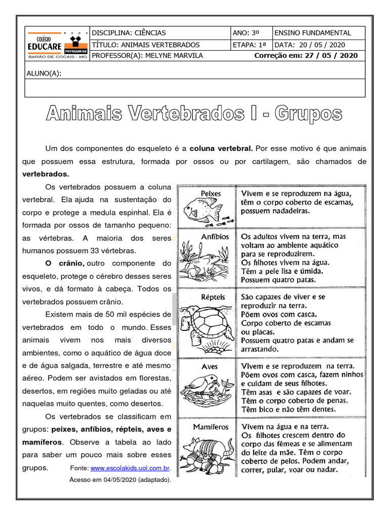 Animais Vertebrados para o 3º Ano | PDF | Vertebrados | Coluna vertebral