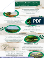 Impacto Del Cambio Climático Sobre La Fotosíntesis, Fotorrespiración y Respiración de Plantas C3