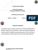 Condicion Corporal en Vacas Lecheras 2020 FSD
