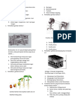 Soal Pra Un September 2015