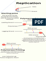 Dna Replication