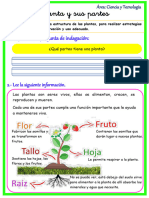 FICHA La Planta y Sus Partes