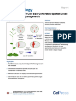 Active Control of Cell Size Generates Spatial Detail During Plant Organogenesis