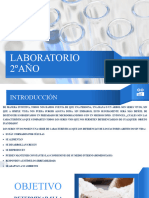 Laboratorio 2do Levadura