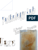 Pathology Liver Jars Fixed